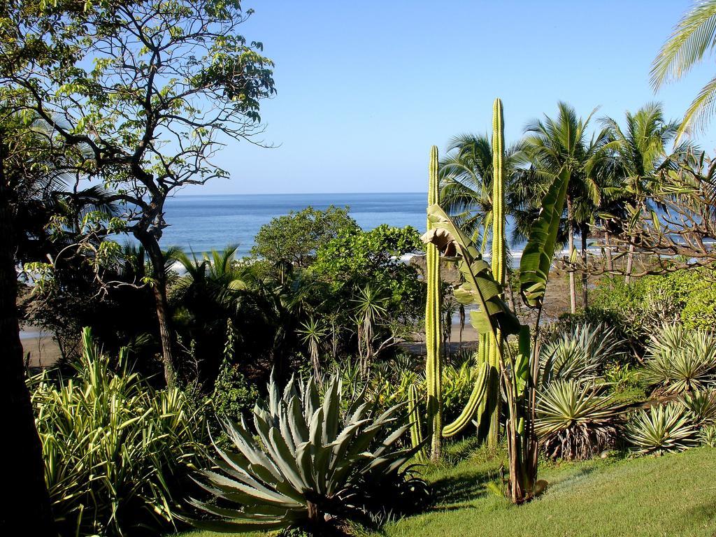 Casas Pelicano Playa Junquillal エクステリア 写真