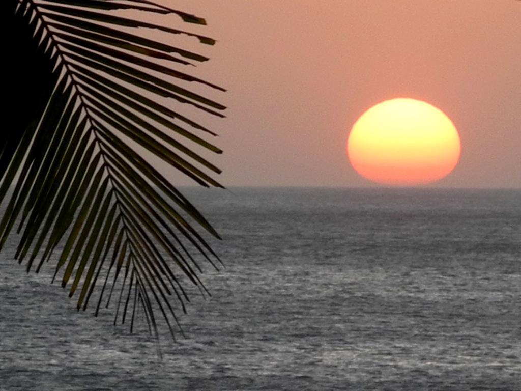 Casas Pelicano Playa Junquillal エクステリア 写真